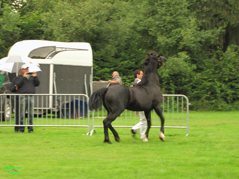 24-7-2011 5de Crijtrally (99)-2.jpg